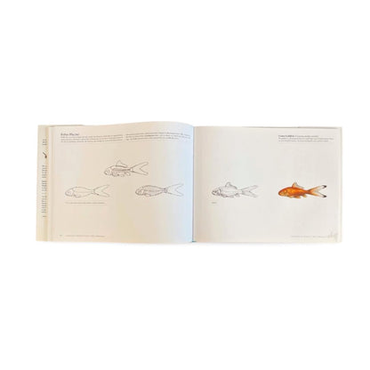 Science of Creature Design: Understanding Animal Anatomy: Understanding Animal Anatomy