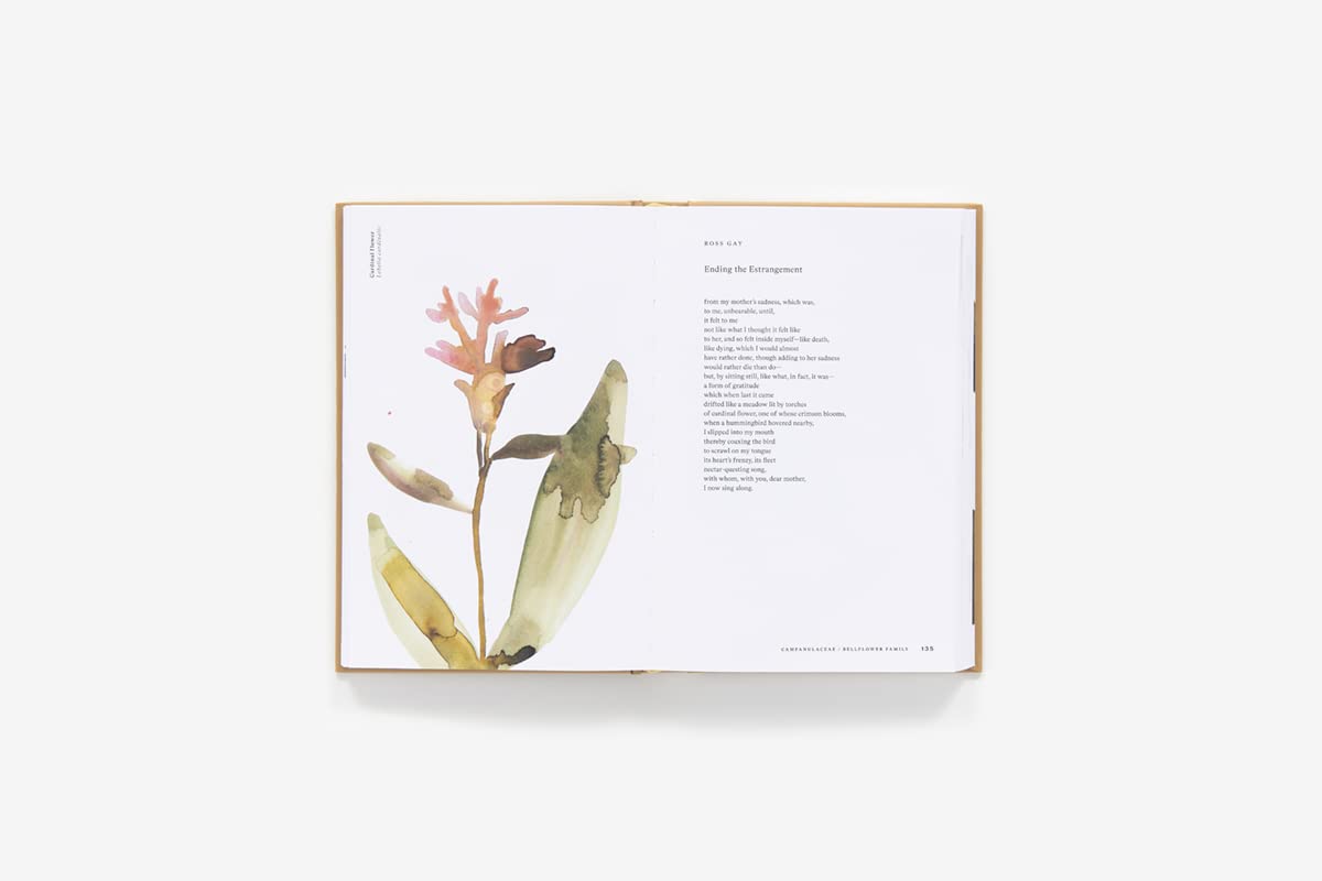 American Wildflowers: A Literary Field Guide