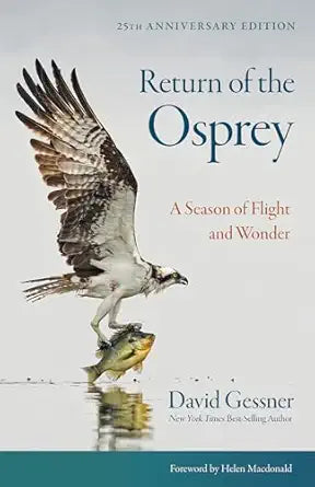 Return of the Osprey: A Season of Flight and Wonder (25th Anniversary ed.) by David Gessner