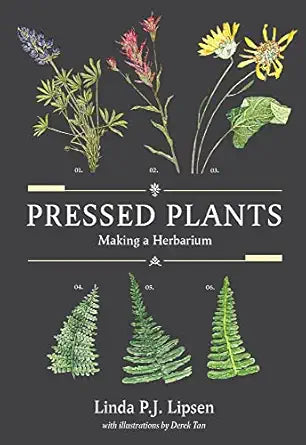 Pressed Plants: Making a Herbarium: Making a Herbarium