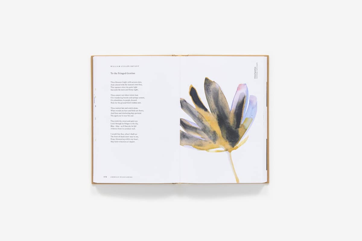 American Wildflowers: A Literary Field Guide