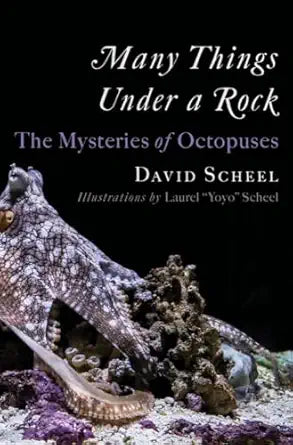 Many Things Under a Rock: The Mysteries of Octopuses: The Mysteries of Octopuses