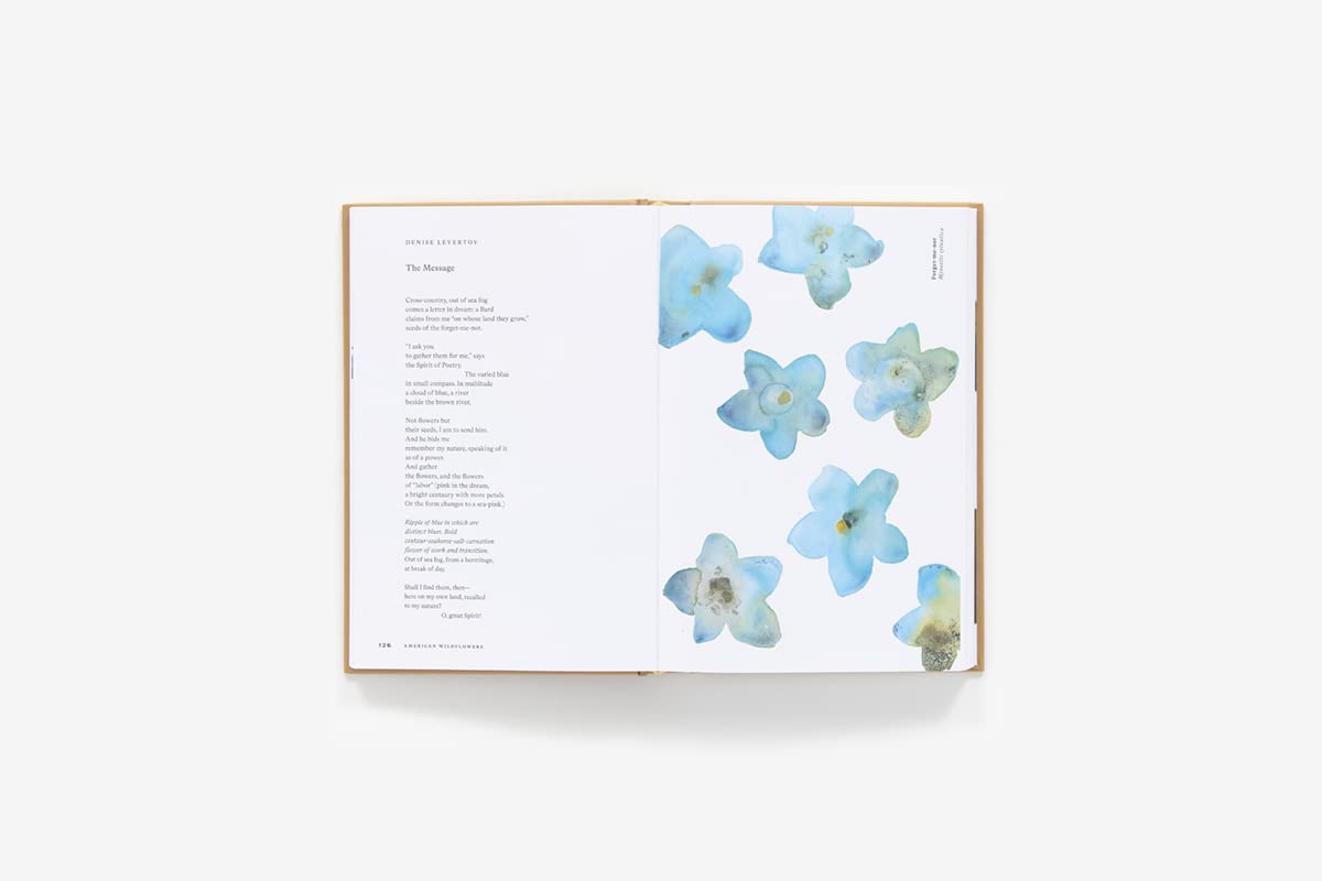 American Wildflowers: A Literary Field Guide