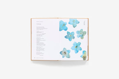 American Wildflowers: A Literary Field Guide