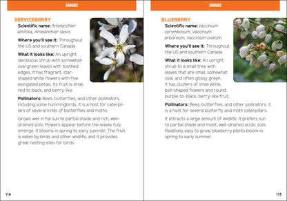 Pollinators & Native Plants for Kids: An Introduction to Botany by Jaret C. Daniels