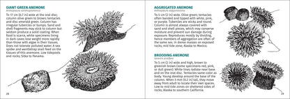 Pacific Intertidal Life 2nd Edition