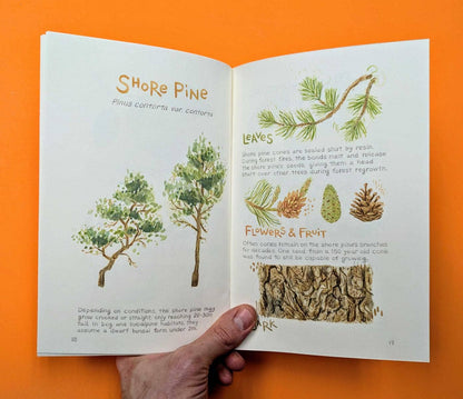 Trees of the Pacific Northwest