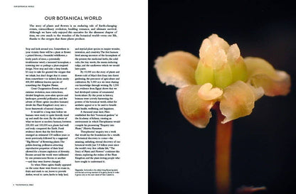 The Botanical Bible: Plants, Flowers, Art, Recipes & Other Home Uses: Plants, Flowers, Art, Recipes & Other Home Uses