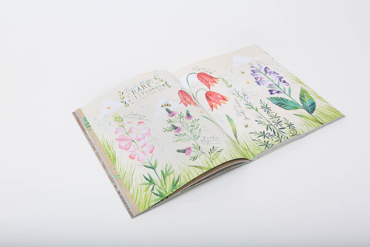 The Wildflower's Workbook: A Journal for Self-Discovery in Nature