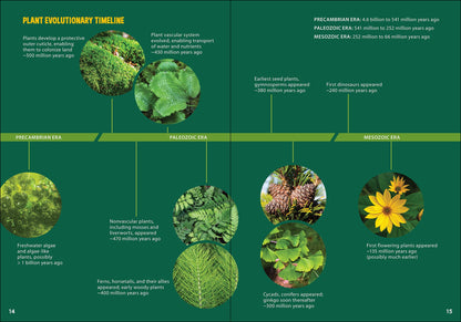 Pollinators & Native Plants for Kids: An Introduction to Botany by Jaret C. Daniels