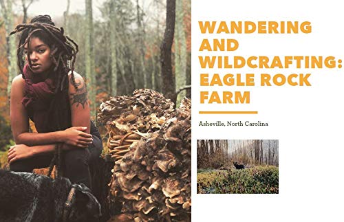 Farm + Land's Back to the Land: A Guide to Modern Outdoor Life (Simple and Slow Living Book, Gift for Outdoor Enthusiasts): A Guide to Modern Outdoor Life (Simple and Slow Living Book, Gift for Outdoor Enthusiasts)