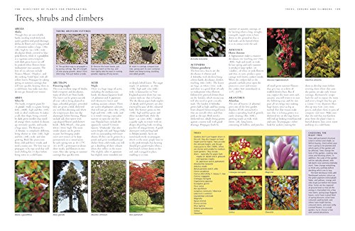 How to Propagate 375 Plants: A Practical Guide to Propagating Your Own Flowers, Foliage Plants, Trees, Shrubs, Climbers, Wet-Loving Plants, Bog and Water Plants, Vegetables and Herbs by Richard Rosenfeld