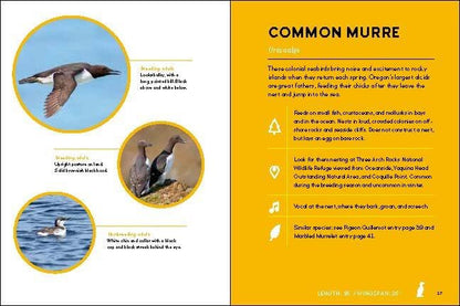Birds of the Oregon Coast by Sarah Swanson