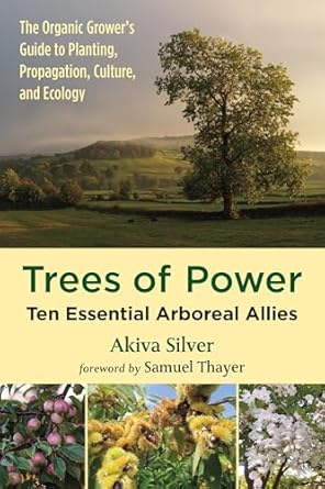 Trees of Power: Ten Essential Arboreal Allies by Akiva Silver