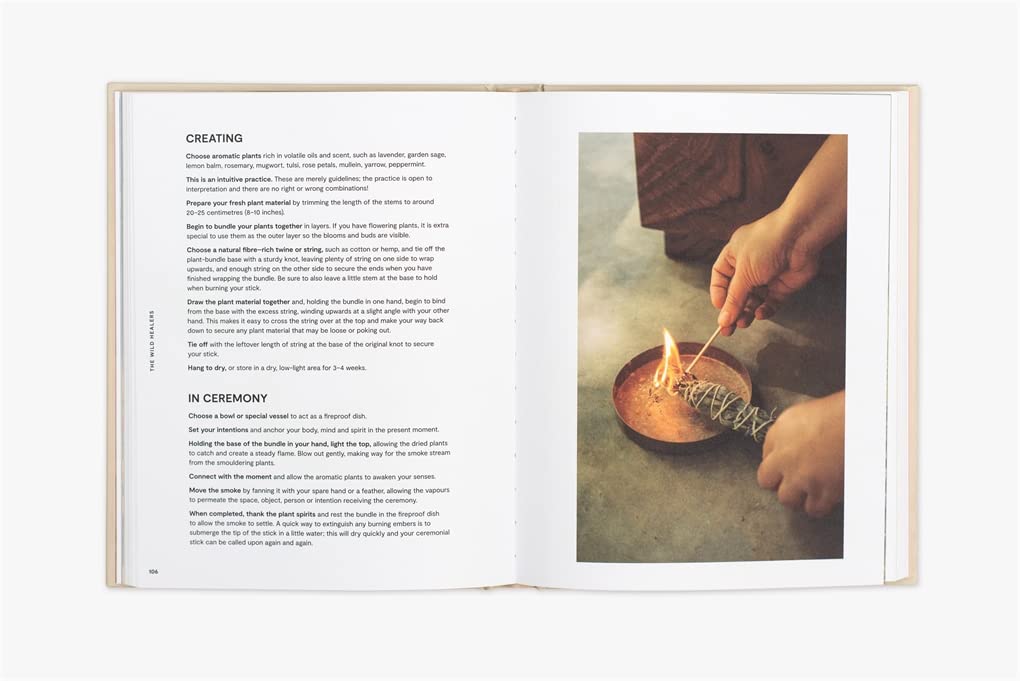 Plants For the People: A Modern Guide to Plant Medicine by Erin Lovell Verinder, Georgia Blackie (Photographer)