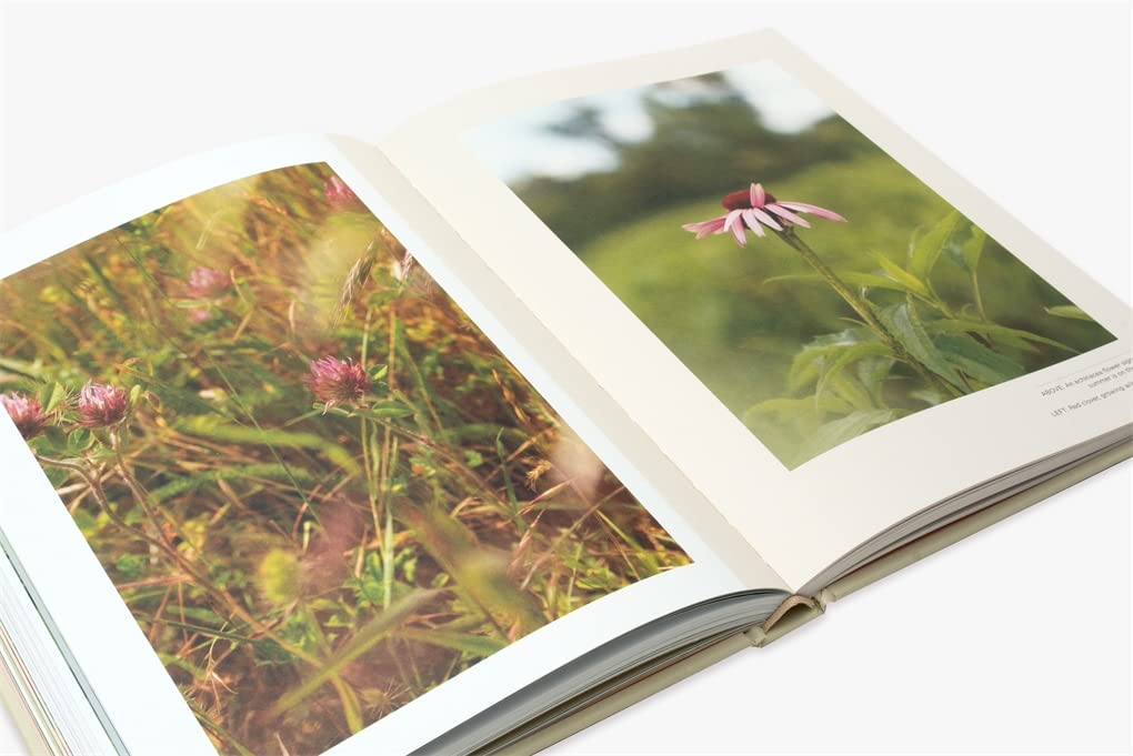 Plants For the People: A Modern Guide to Plant Medicine by Erin Lovell Verinder, Georgia Blackie (Photographer)