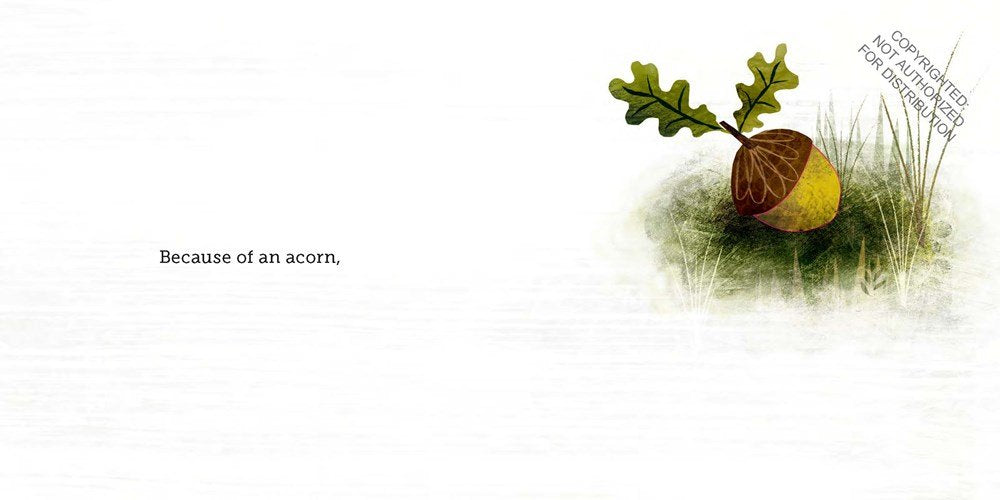 Because of an Acorn