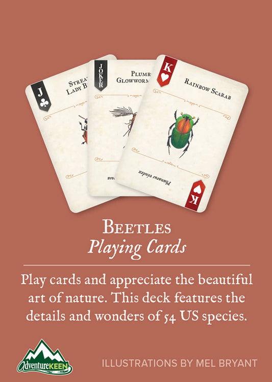 Beetles Playing Cards
