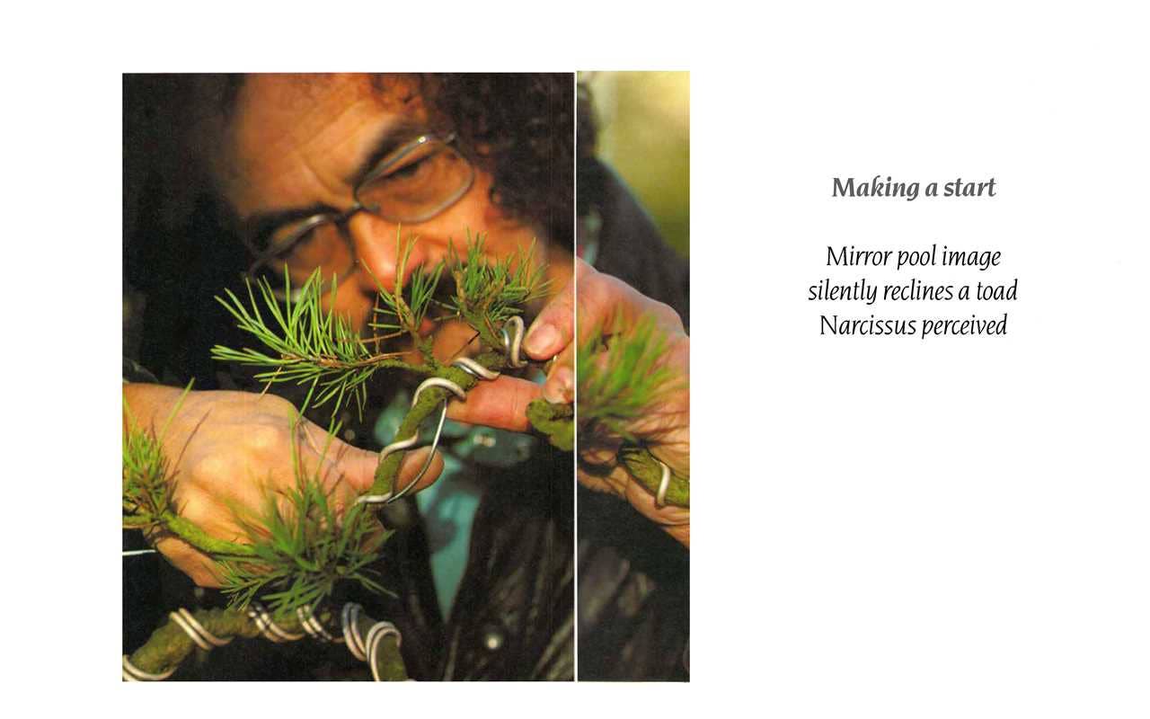 The Bonsai Book: The Definitive Illustrated Guide by Dan Barton