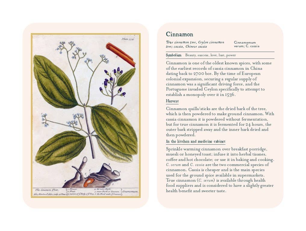 Healing Plants: 50 Botanical Cards Illustrated by the Pioneering Herbalist Elizabeth Blackwell: 50 Botanical Cards Illustrated by the Pioneering Herbalist Elizabeth Blackwell