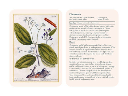 Healing Plants: 50 Botanical Cards Illustrated by the Pioneering Herbalist Elizabeth Blackwell: 50 Botanical Cards Illustrated by the Pioneering Herbalist Elizabeth Blackwell