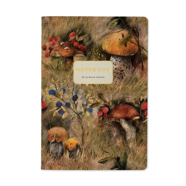 Bruno Visconti Notebooks