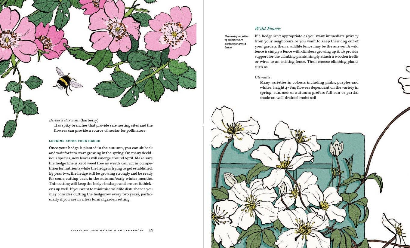 Planting with Nature: A Guide to Sustainable Gardening