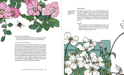 Planting with Nature: A Guide to Sustainable Gardening