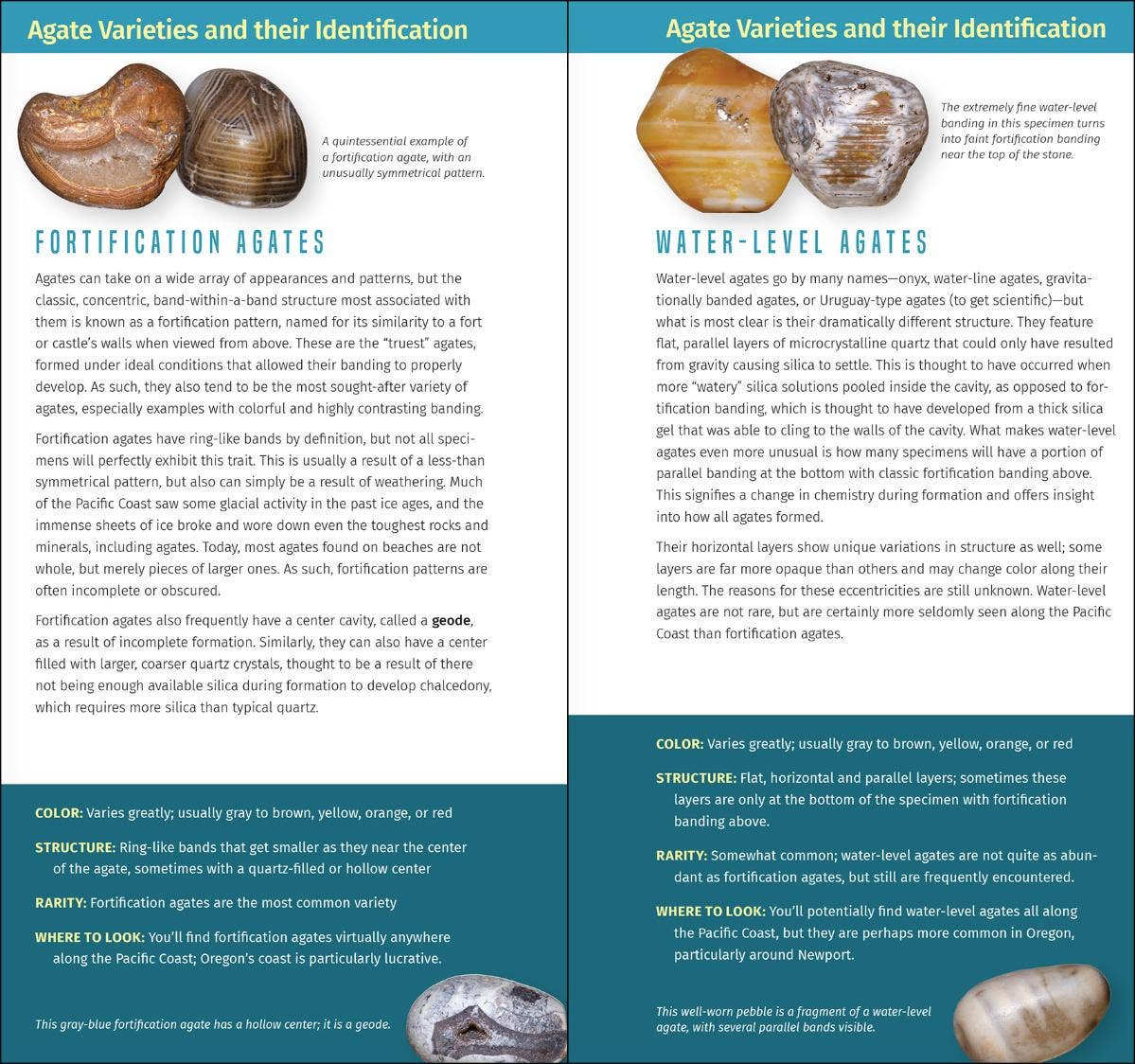 Agates and Other Collectibles of the Pacific Coast: Your Way to Easily Identify Agates