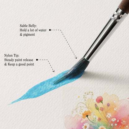 ARTIFY Extended Needle Point Sable & Nylon Hybrid Watercolor Brush 6 PCS Set,  Expert Series