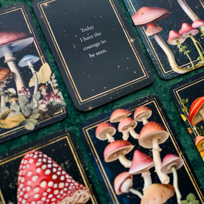 Mushrooms: Daily Doses of Wisdom (36 Gilt-Edged Full-Color Cards): Daily Doses of Wisdom (36 Gilt-Edged Full-Color Cards)