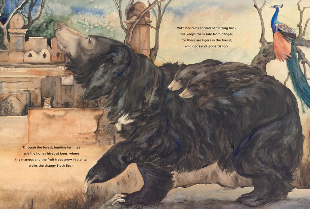 Something about a Bear (2ND ed.) by Jackie Morris