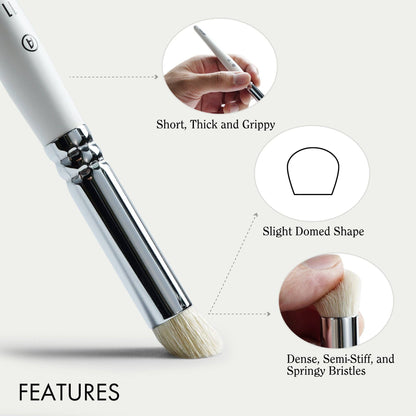 ARTIFY 5 PCS Drybrush Set for Miniature and Model, Expert Series - White