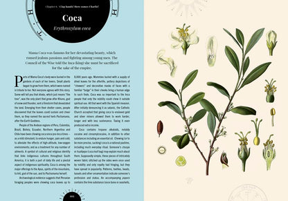 The Psychedelic Garden: A History of Mind-Altering Plants in Folklore, Superstition and Popular Culture