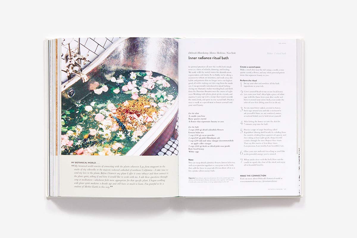 The Botanical Bible: Plants, Flowers, Art, Recipes & Other Home Uses: Plants, Flowers, Art, Recipes & Other Home Uses