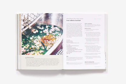 The Botanical Bible: Plants, Flowers, Art, Recipes & Other Home Uses: Plants, Flowers, Art, Recipes & Other Home Uses