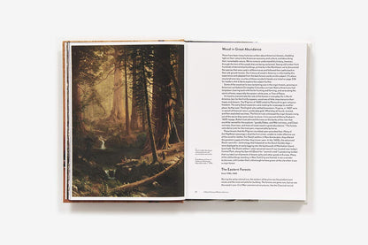 Reclaimed Wood: A Field Guide by Alan Solomon & Klaas Armster