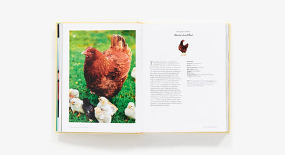 The Backyard Chicken Keeper's Bible: Discover Chicken Breeds, Behavior, Coops, Eggs, and More: Discover Chicken Breeds, Behavior, Coops, Eggs, and More