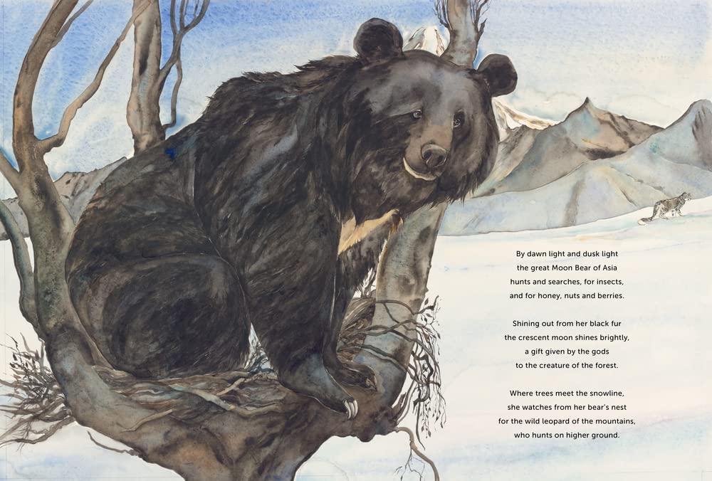Something about a Bear (2ND ed.) by Jackie Morris