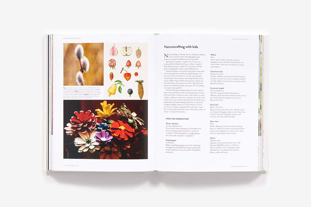 The Botanical Bible: Plants, Flowers, Art, Recipes & Other Home Uses: Plants, Flowers, Art, Recipes & Other Home Uses