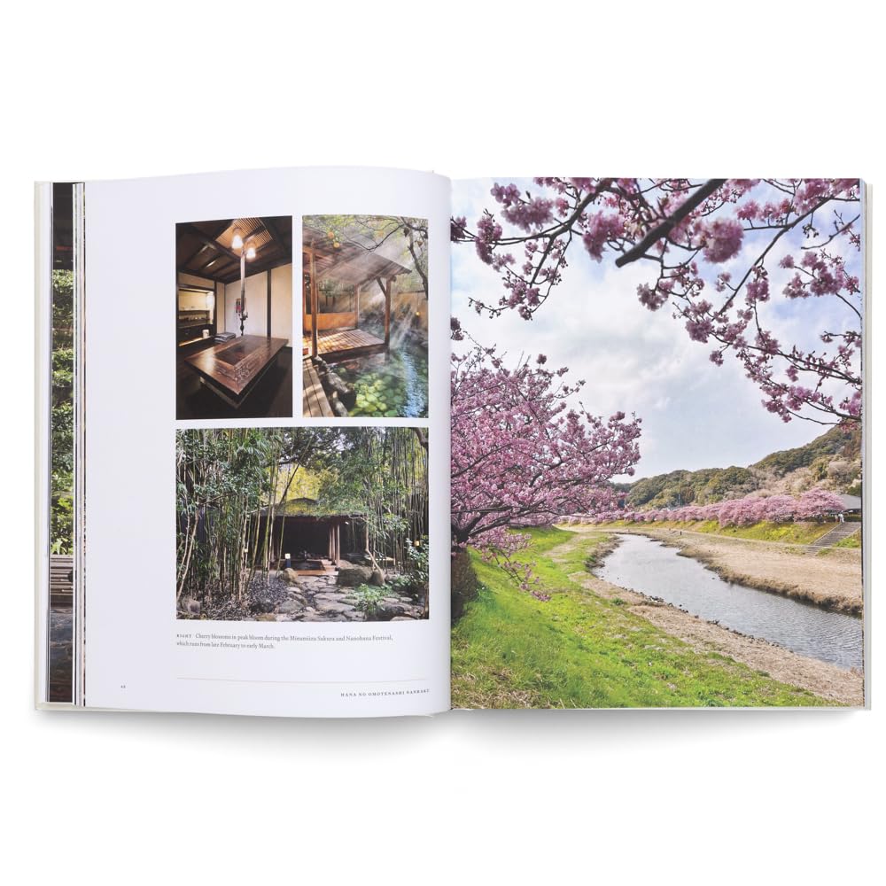 Onsen and Ryokan of Japan: Traditional Spa and Bathing Culture by Gestalten (Editor)