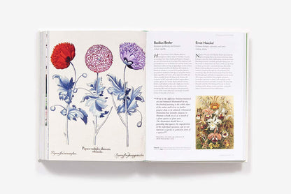 The Botanical Bible: Plants, Flowers, Art, Recipes & Other Home Uses: Plants, Flowers, Art, Recipes & Other Home Uses