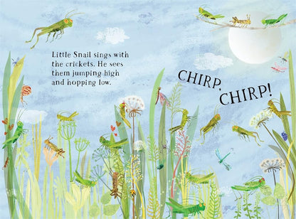 Little Snail's Book of Bugs
