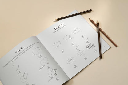 Mushrooms & Woodland Creatures: How to Draw Books for Kids with Woodland Creatures, Bugs, Plants, and Fungi
