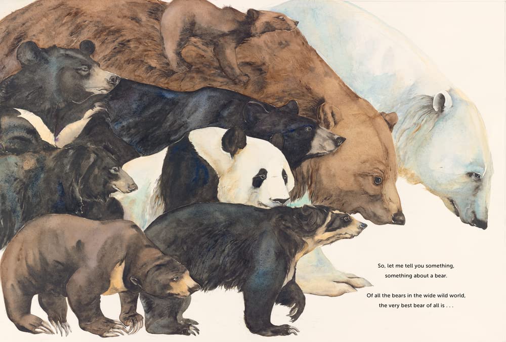Something about a Bear (2ND ed.) by Jackie Morris