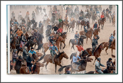 Human Playground: Why We Play