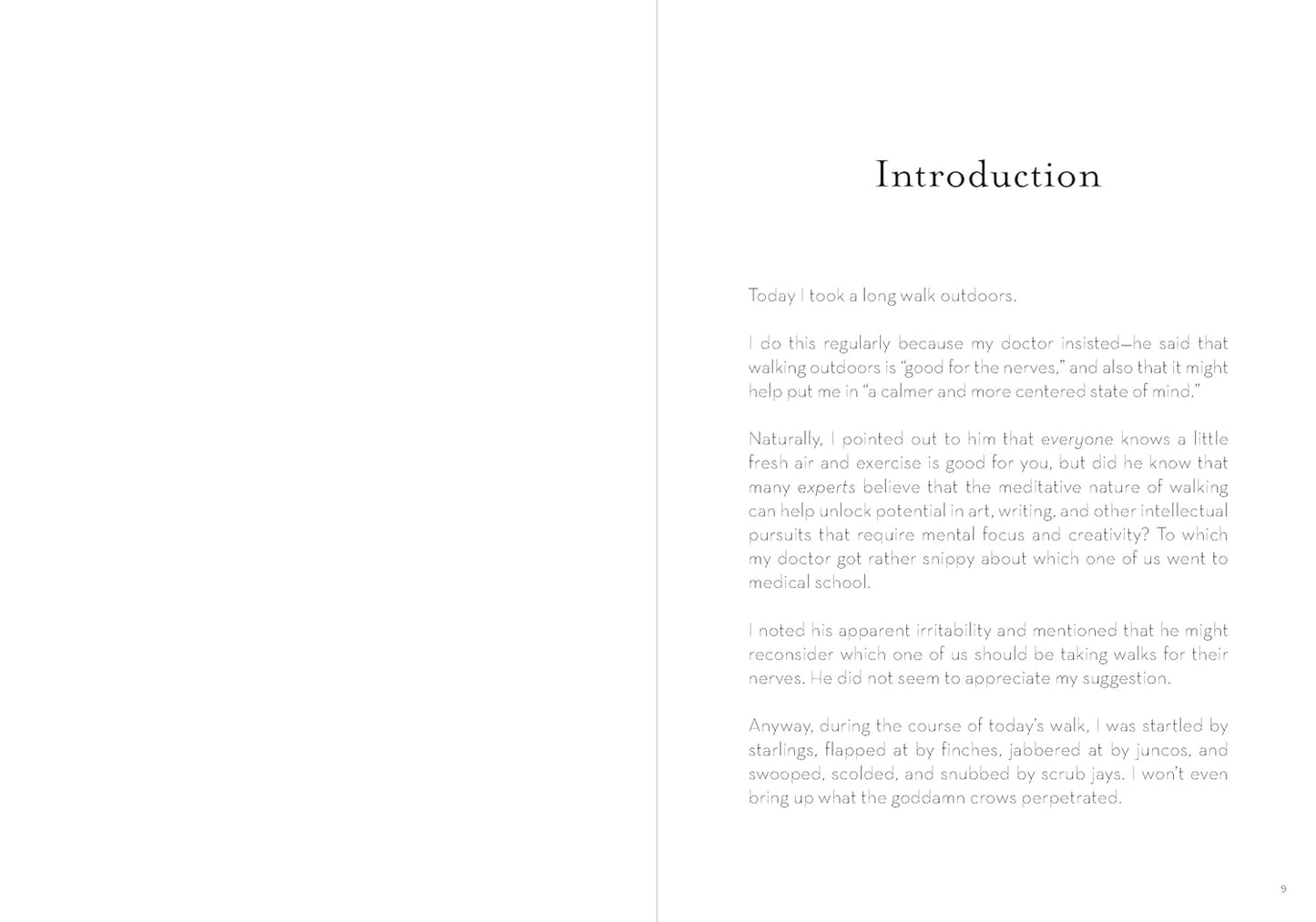 A Dumb Birds Field Guide to the Worst Birds Ever by Matt Kracht