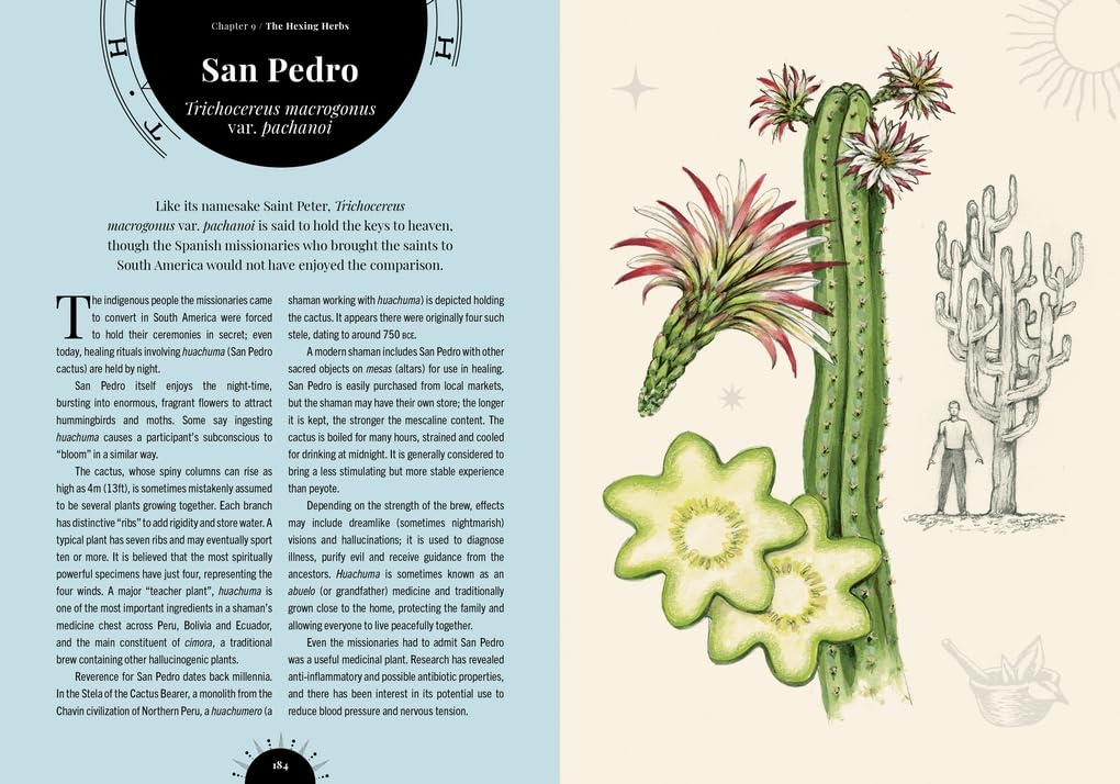 The Psychedelic Garden: A History of Mind-Altering Plants in Folklore, Superstition and Popular Culture