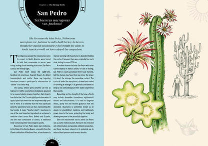 The Psychedelic Garden: A History of Mind-Altering Plants in Folklore, Superstition and Popular Culture