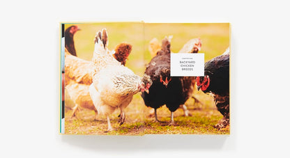 The Backyard Chicken Keeper's Bible: Discover Chicken Breeds, Behavior, Coops, Eggs, and More: Discover Chicken Breeds, Behavior, Coops, Eggs, and More